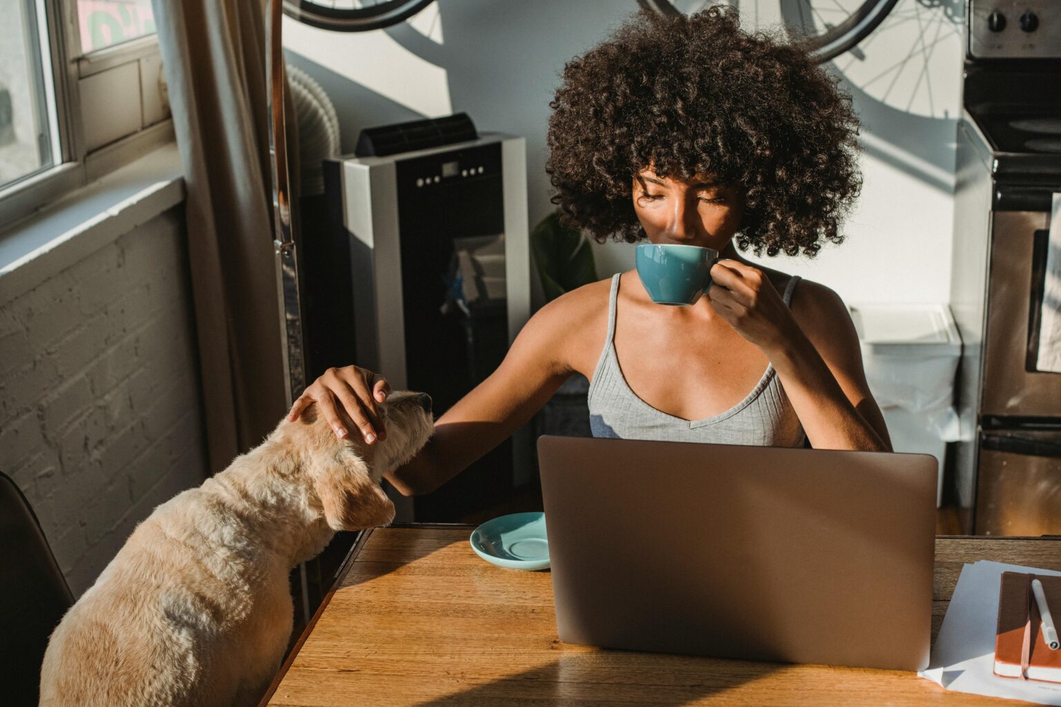 African American female freelancer using laptop and drinking coffee