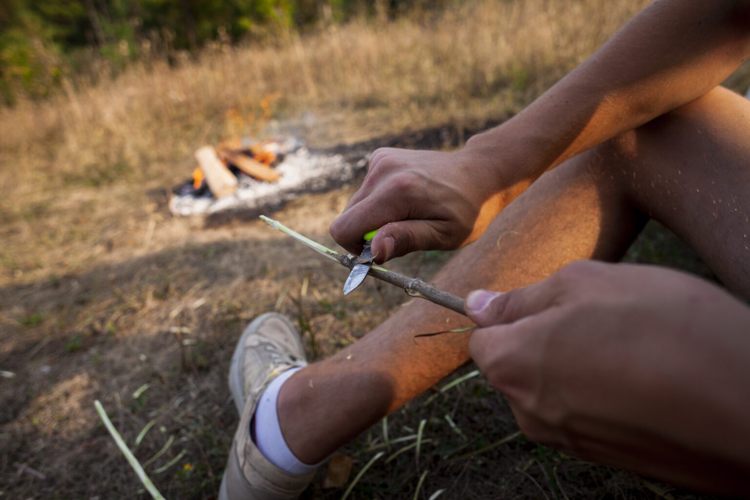 bushcraft outdoor skills